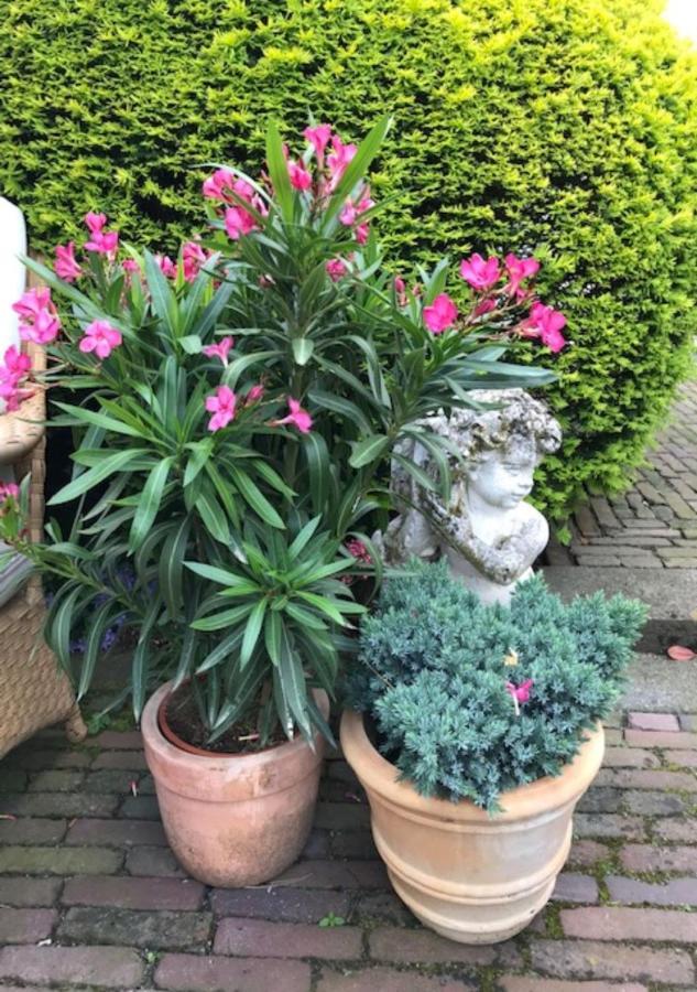 B&B Ereprijs Den Haag Bagian luar foto